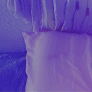 Meet your Posher, Bailey